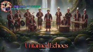 Untamed Echoes: Vietnamese Central Highlands Instrumental Music
