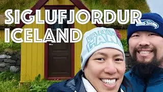 Day 5 of Arctic Adventures 7 day tour.  Northern Iceland - Whale Watching, Siglufjordur and Horses