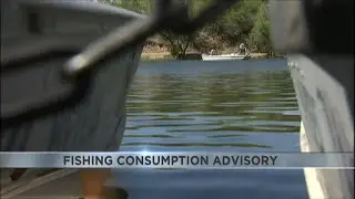 Wildlife officials issue consumption advisory for Flathead Catfish caught from Patagonia Lake