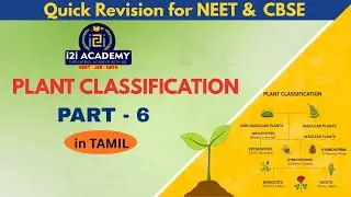 Plant Classification Explained 🌿 | Easy Biology in Tamil | Simple Notes + Examples | PART 6