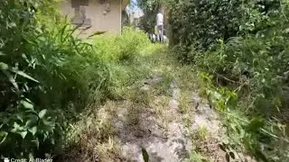 ASMR Satisfying cleaning home yard #satisfying #asmr #cleaning #awesome