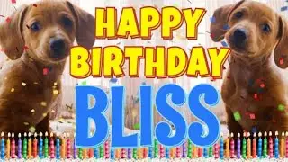 Happy Birthday Bliss! ( Funny Talking Dogs ) What Is Free On My Birthday
