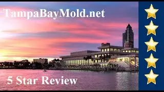 TampaBayMold.net  Lutz FL Mold Inspection  5 Star Review 813-358-4766
