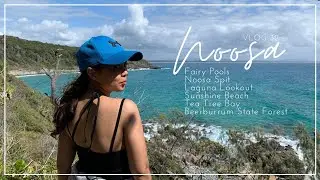 Noosa Day Trip ( National Parks, Noosa Spit, Fairy Pools + more) VLOG 32 I itsapplesworld