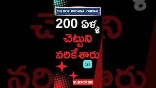 200-Yr Banyan Tree Chopped in Bangladesh | 200 ఏళ్ళ చెట్టుని నరికేశారు