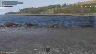 Arma game play dads army
