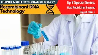 Chapter 8 EP 8 / Sem 1 : Special Series : How restriction enzyme digest? (Matriculation Biology )