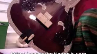 Hiren Roy Full decoration Concert sitar demo