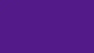 10 Hours of Rebecca Purple #663399 102,51,153