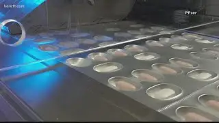 Pfizer's Paxlovid and what we know
