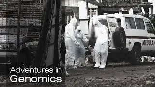 Arming the outposts in the war against Ebola | Adventures in Genomics