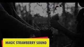 [MSB TV / MV] Unisexasaurus _ Dear J
