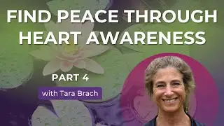 Guided Meditation: Find Peace Through Heart Awareness | Tara on Living w/ an Awakened Heart (Part 4)