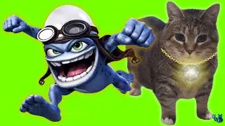 OIIAOIIA CAT & CRAZY FROG -Spinning Cat (TECHNO REMIX) Cat Brainrot Video - OUR BEST 5 VIDEOS