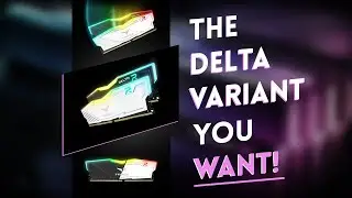 Tforce Delta RGB Gaming Memory - Great quality at a good price. | Hardware Sugar