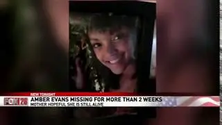 Search for community activist Amber Evans along the Scioto Mile postponed