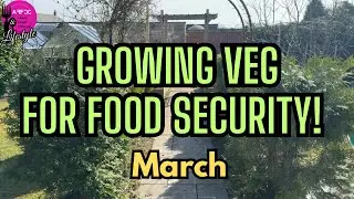 Start Your Food Resilience NOW! What to Grow in March &ndash; UK Garden Tour!