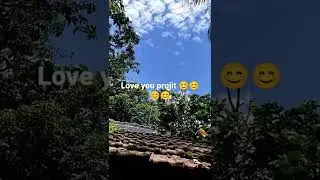 ####projit####