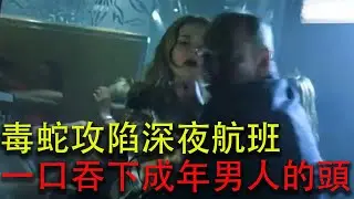 毒蛇攻陷深夜航班，一口吞下成年男人的頭！#movie #影视聚焦 #精彩影视 #電影 #影視解説
