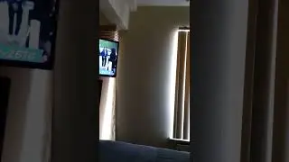 Why Is This Woman From New York Acting Like A ROCKTARD ?