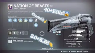 This Crafted GODROLL Nation Of Beasts Got Me HOW MANY Kills!?😱👏-High Kill/K.D HandCannon Gameplay