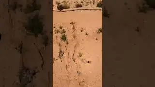🏜 #drone #arizona #mavicmini #happyvalley #phoenix #thechipparoute #dji