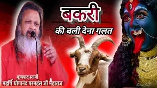 काली मां को बकरी का चढ़ावा असली पूजा नहीं है।महर्षि योग आनंद जी महाराज