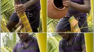 കള്ള്ചെത്ത് പുതിയ കുലയിൽ എങ്ങനെ മാട്ടം ഇടാമെന്ന് നോക്കാം