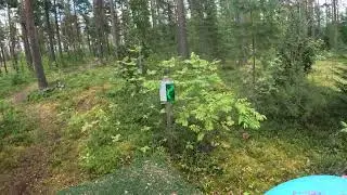 Frisbeegolf ahvenlampi August 2025 treehugger 