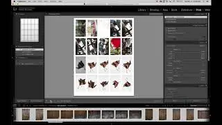 8 contact sheets