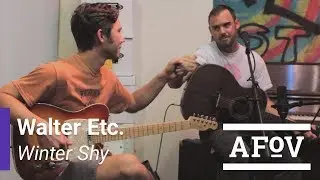 WALTER ETC. - Winter Shy | A Fistful of Vinyl