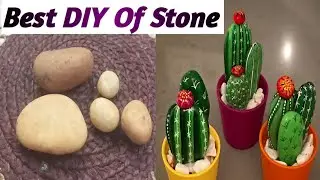 Beautiful Stone DIY/Making Cactus Plant From Pebble/Best Idea to Use Stone