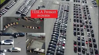Tesla Fremont 01/29