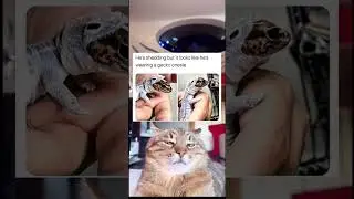 its like snake skinning 🙀🙀 | #shorts #foryou #cat