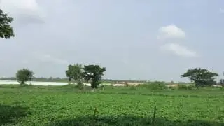 Singapore Airlines - Flight SQ998 - Airbus A330-300 - Landing at Yangon Int'l Airport (RGN/VYYY)