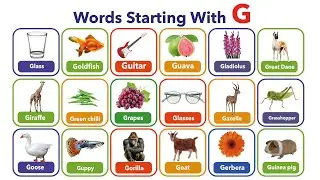 25 Words Starting with Letter G II 'Gg' Words II Letter G Words for kids II WORDS THAT START WITH G