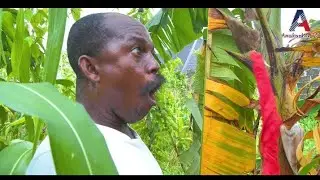 VILLAGE MASAKA #moresubscribers2022 #moreviews2022  #firstnollyplustv #Nollymaxtv #AFRICANMOVIESTV