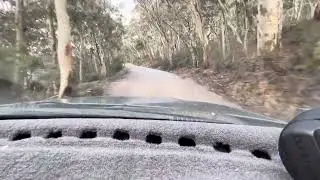 Island Bend Campground 