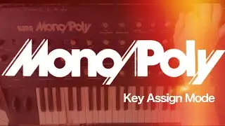 KORG MONOPOLY DEMO pt2: Key assign switching - Mono//Poly