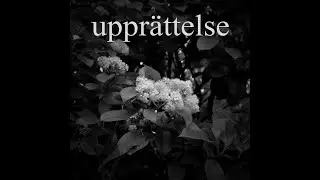 uppr&auml;ttelse