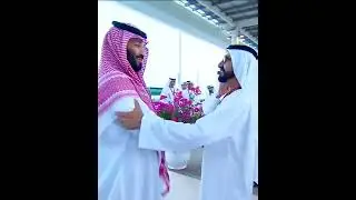 Sheikh Mohammed Bin Rashid Al Maktoum With Saudi Arabia Bin Salman Lifestyle Faz3#shorts
