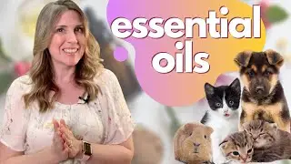 Essential Oils for Dogs & Cats 🐶 💜 🐱