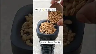 Wheat 🌾 vs Earfun Uboom L Portable Bluetooth Speaker Bass Test 🔥