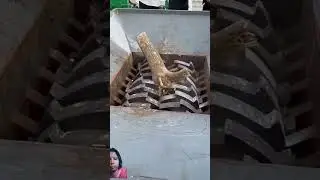 Industrial shredder mechine for testing shredding tree roots 🌳🪵 #treeshredder #woodworking