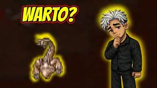 Sprawdzam Drillwormy&hellip; i to nie to | Od Zera do PACC #52