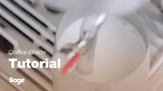 The Barista Touch&trade; Impress | How to perfectly texture any milk, hands-free | Sage Appliances UK