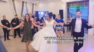 Muzica moldoveneasca ❤️ Muzica de petrecere la nunta ❤️ Formatia Armonia Chisinau ❤️Lautari la nunta