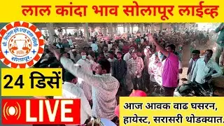 लाल कांदा बाजार भाव सोलापूर लाईव्ह kanda market rate today Solapur live 24 डिसेंबर