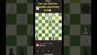 #chess #chessnerd #chessgrandmaster #chessgame #chessmate #chessrush #chesspuzzle #battlechess #trip