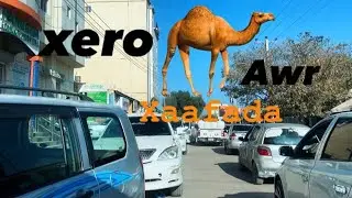Xaafada xero awr waa sidee || hargesia somaliland 2025